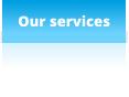 Our services